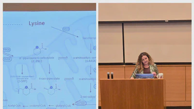 HMGGP Rotation Updates featured image