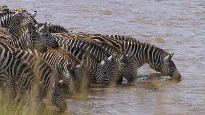 GA1: How natural history studies support the development of new treatments featured image