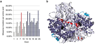 Nonketotic hyperglycinemia