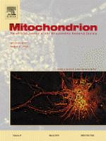 Mitochondrial energy failure in HSD10 disease is due to defective mtDNA transcript processing