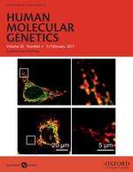 Mutations in the accessory subunit NDUFB10 result in isolated complex I deficiency and illustrate the critical role of intermembrane space import for complex I holoenzyme assembly