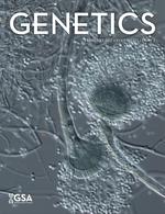 Genomic regions associated with microdeletion/microduplication syndromes exhibit extreme diversity of structural variation