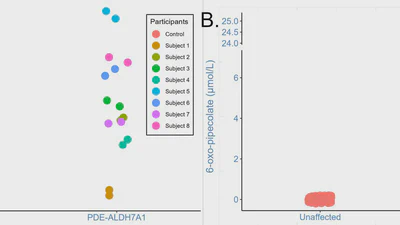 Feasibility of newborn screening for pyridoxine-dependent epilepsy featured image